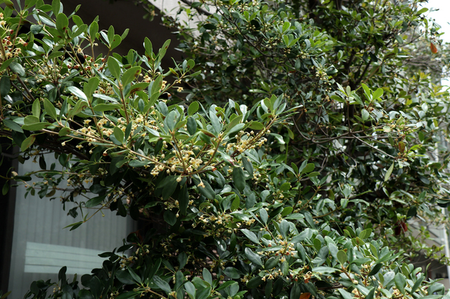 F1906_896.JPG