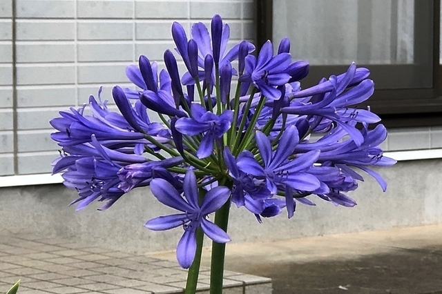 F1907_417.jpg