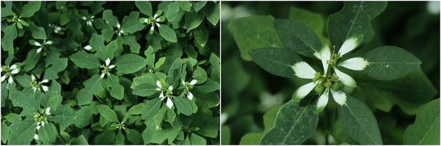 GYO1909_179_1.jpg