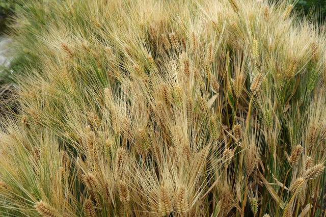 F2005_644.JPG