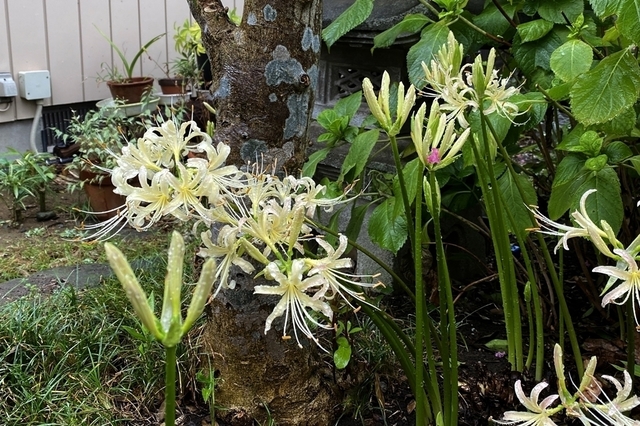 F2009_318.jpg