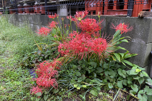 F2009_321.jpg