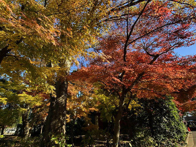 IMG_4020.JPG