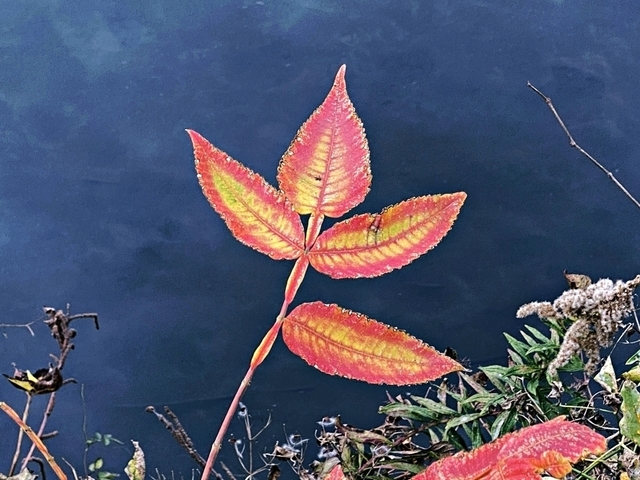 F2012_42.JPG