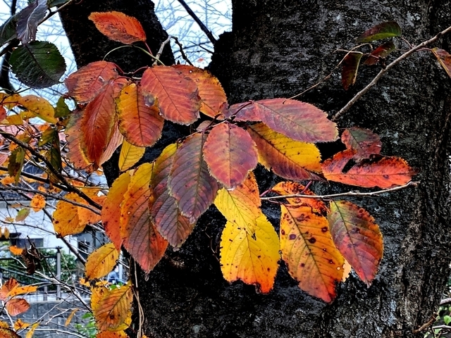 F2012_32.JPG