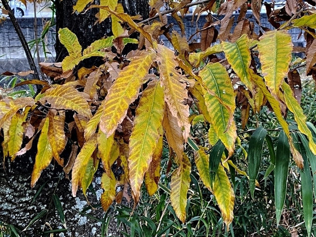 F2012_29.JPG
