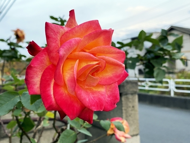 F2012_62.JPG
