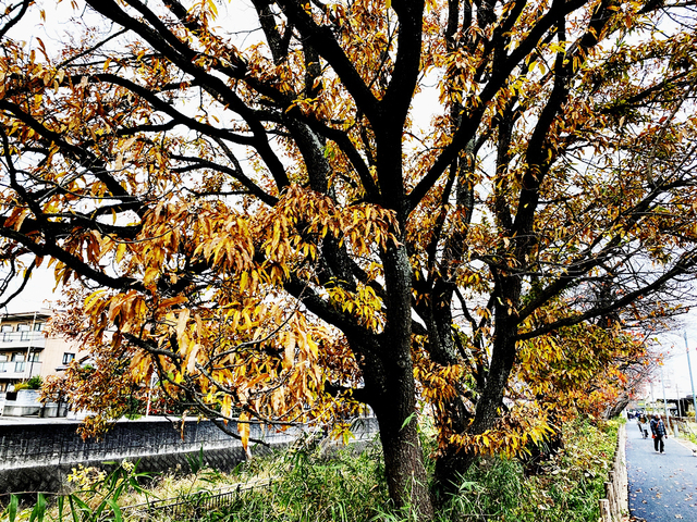 F2012_27.JPG