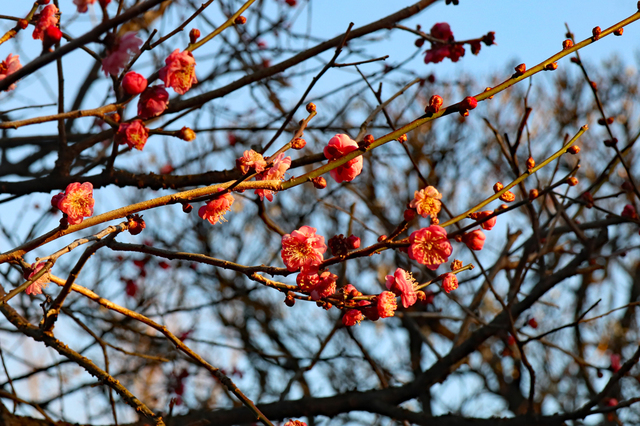 IMG_5737.JPG