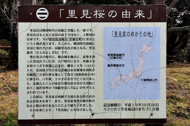 TSK21_35.JPG