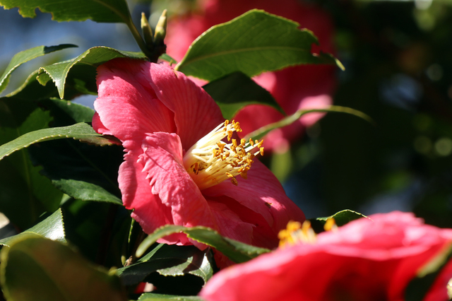 IMG_6622.JPG