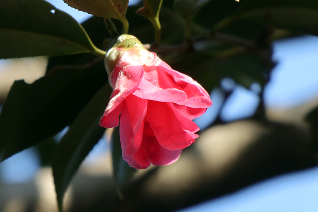 IMG_6669.JPG
