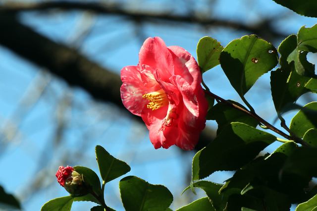 IMG_6671.JPG