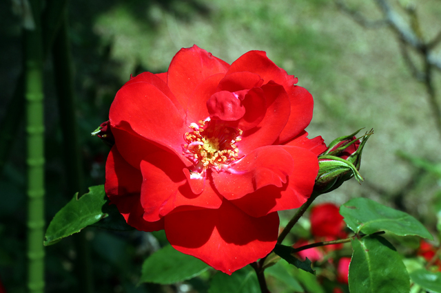 YU2105_97.JPG