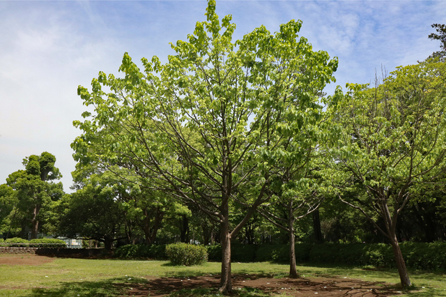 F2105_144.JPG