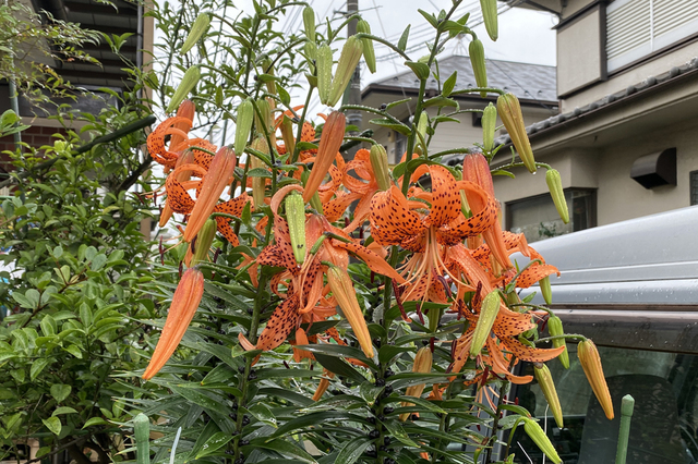 F2107_112.JPG