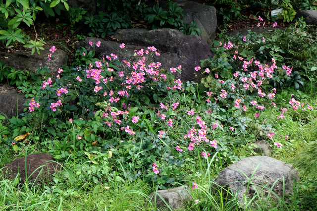 IMG_6327.JPG