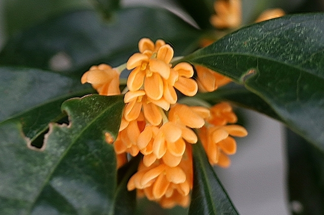 F2110_164.JPG