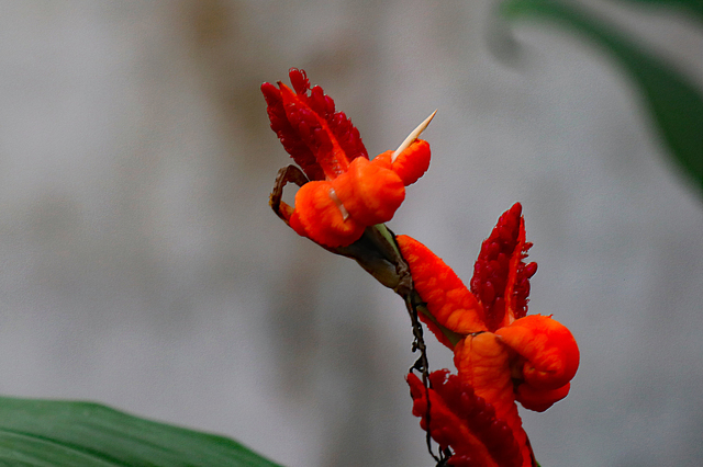 ITB2112_45.JPG