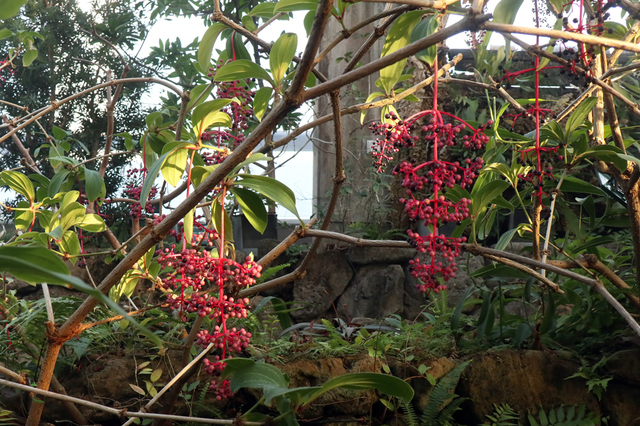 ITB2112_46.JPG