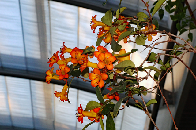 ITB2112_50.JPG