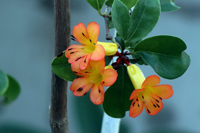 ITB2112_74.JPG