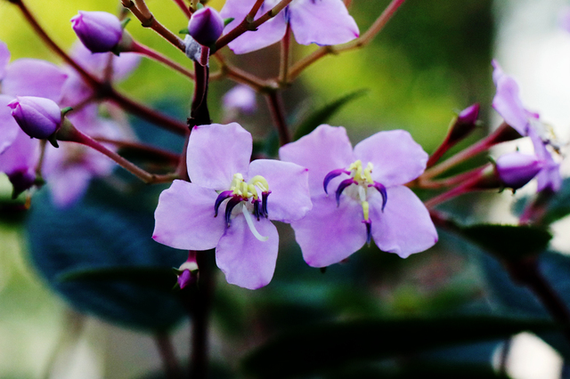 ITB2112_79.JPG