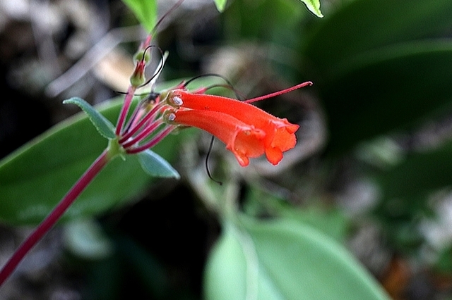 ITB2112_86.JPG