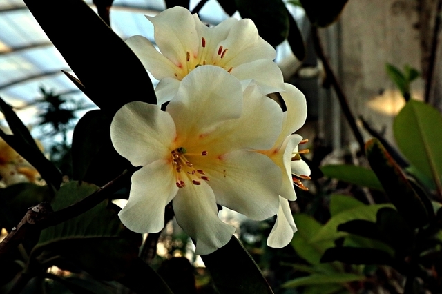 ITB2112_92.JPG