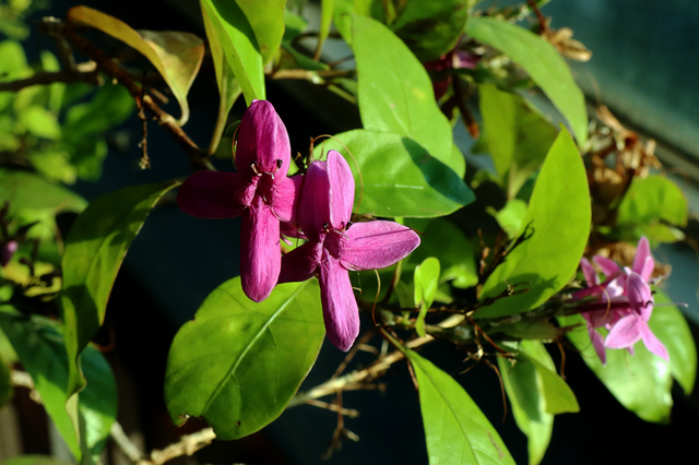 ITB2112_106.JPG