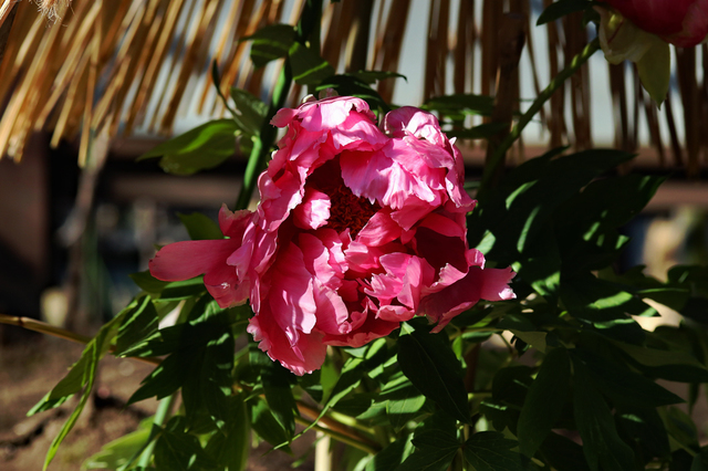 UEB2201_08.JPG