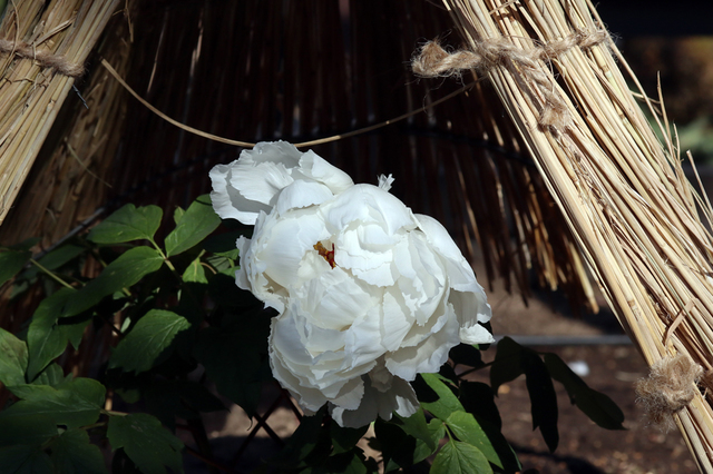 UEB2201_111.JPG