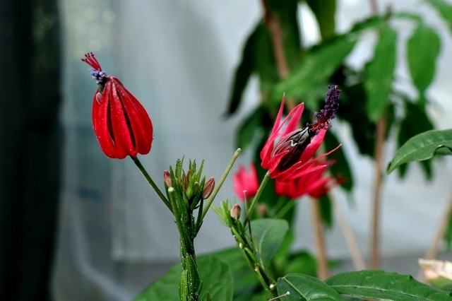 IMG_1190.JPG