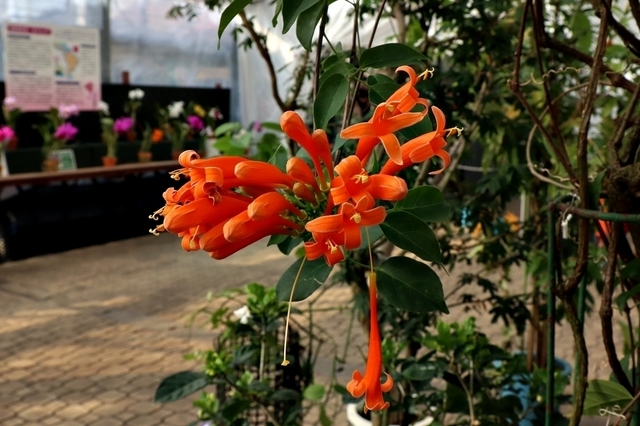 IMG_1253.JPG