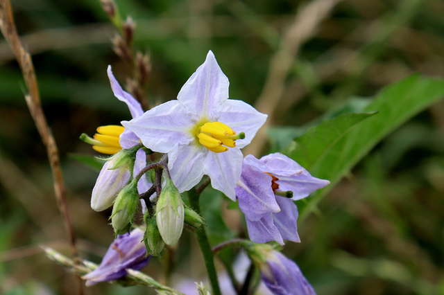 F2206_374.JPG