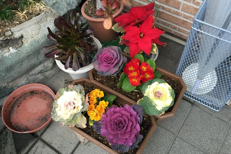 画像を等倍で表示します 画像