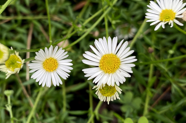 F2407_73.JPG
