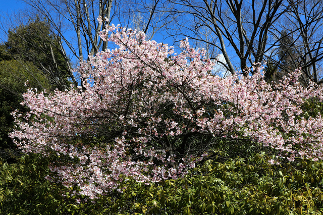 IMG_6642.JPG