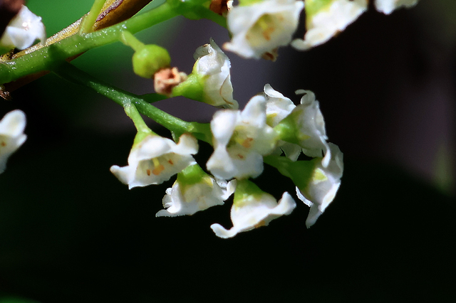 IMG_7541.JPG