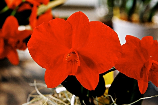 IMG_7859.JPG