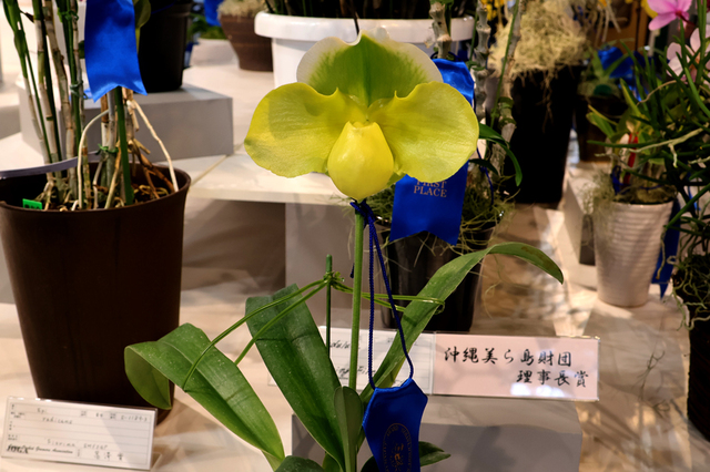 IMG_8153.JPG