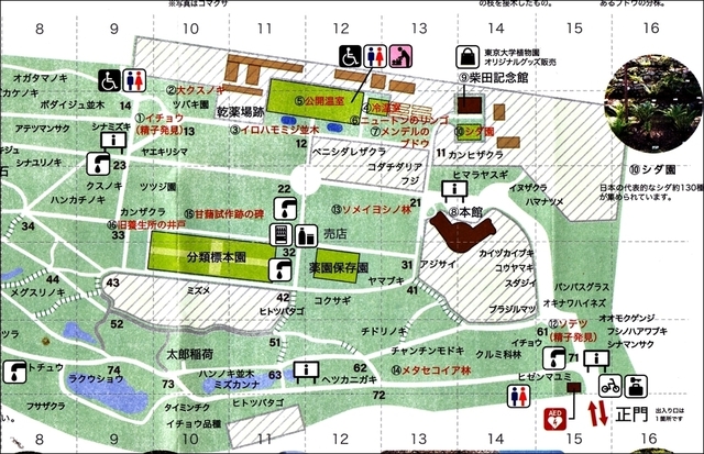 IMG_MAP1.jpg