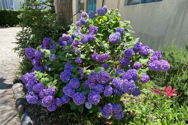 WEB240612_21.JPG